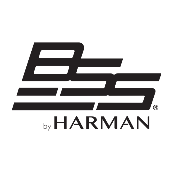 BSS Logo
